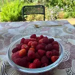 Garden Fresh