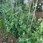 아파트 Garden Fresh *