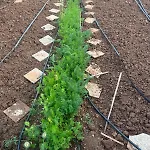 아파트 Garden Fresh