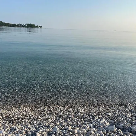 Garden Fresh Appartement