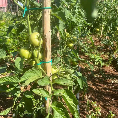 Appartement Garden Fresh