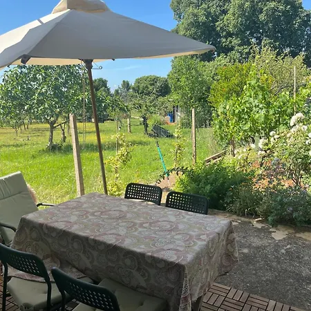 Garden Fresh * Višnjan