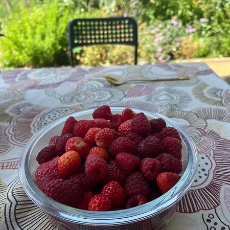 Garden Fresh