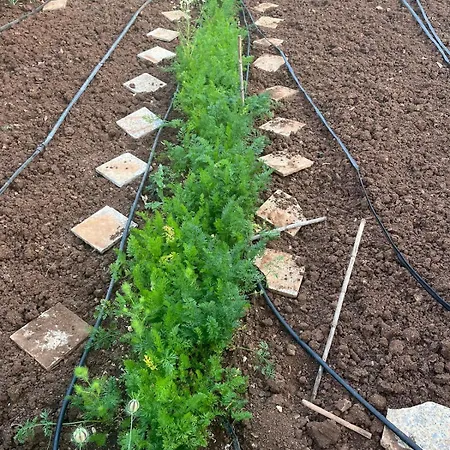 Апартаменты Garden Fresh