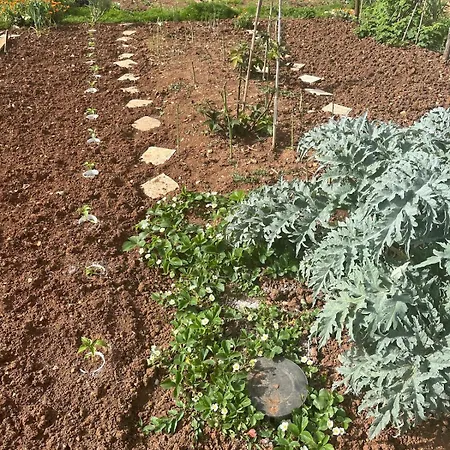 Garden Fresh Апартаменты *