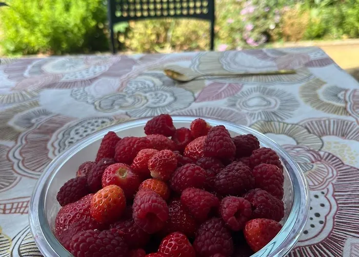 Garden Fresh