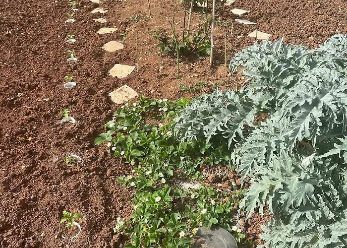 Garden Fresh Apartman *